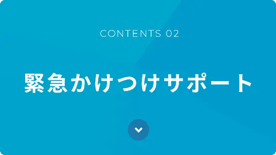 緊急かけつけサポート